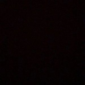 Meet your Posher, Dylan